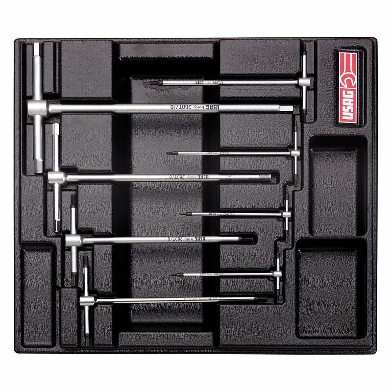 USAG 519/280T | Modulo in termoformato con chiavi a T maschio esagonale 2-10 mm